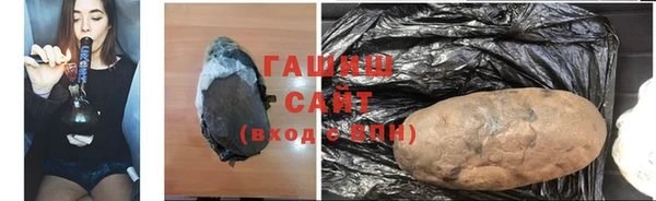 прущие грибы Вязники