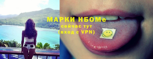 прущие грибы Волоколамск