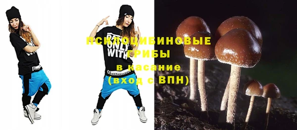 ешки Вязьма