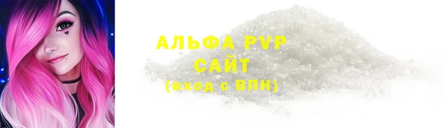 прущие грибы Вязники