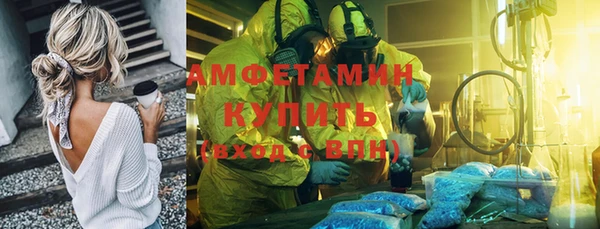прущие грибы Волоколамск