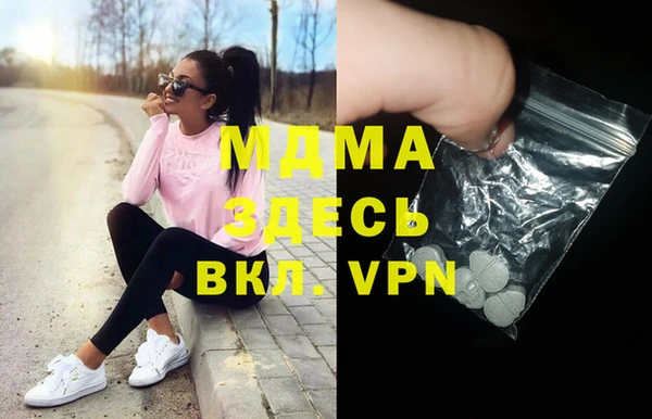 прущие грибы Вязники