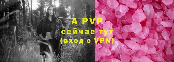 прущие грибы Волоколамск