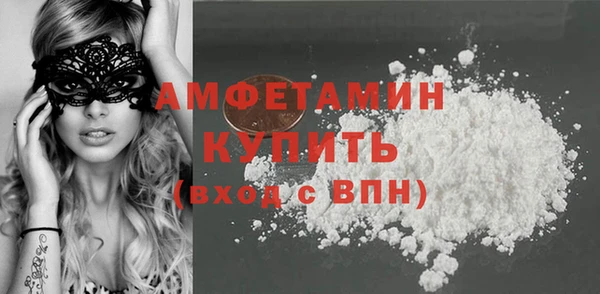 прущие грибы Вязники