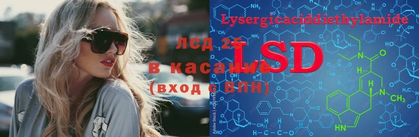 прущие грибы Вязники