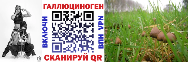 Галлюциногенные грибы Psilocybine cubensis  Джанкой 